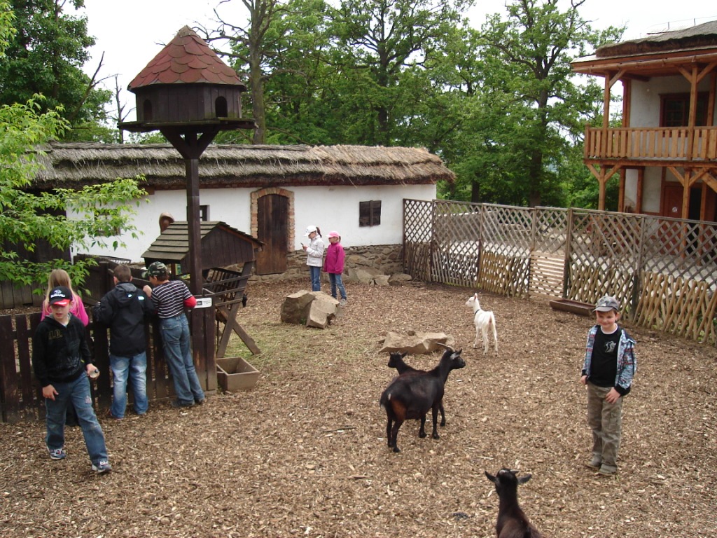 Dětská ZOO.JPG